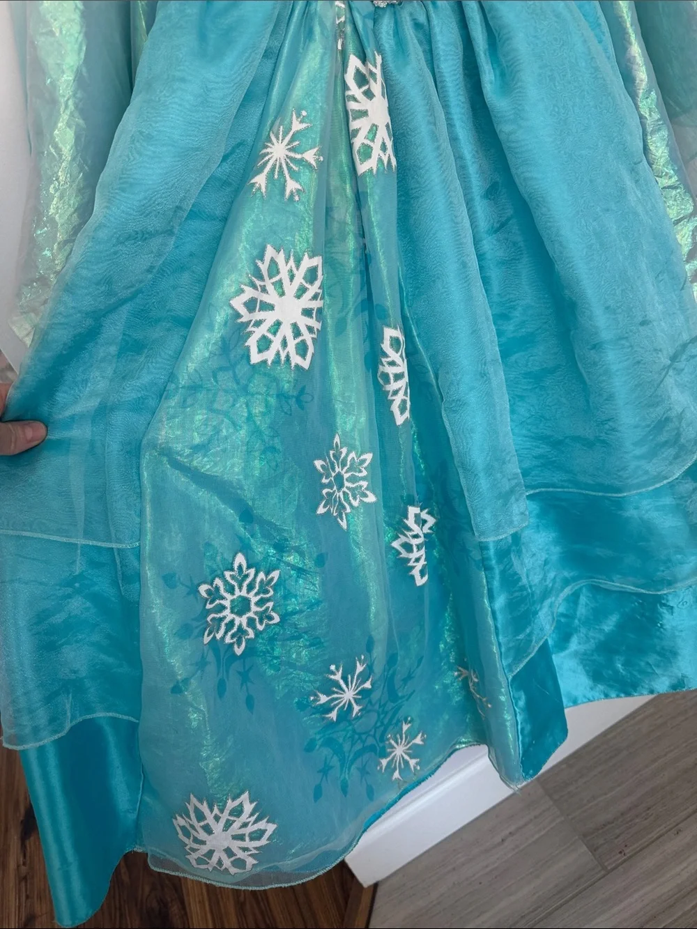 Disney shimmery bodice